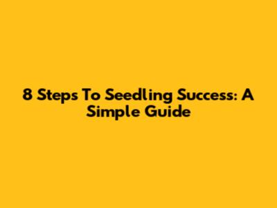 8 Steps To Seedling Success: A Simple Guide