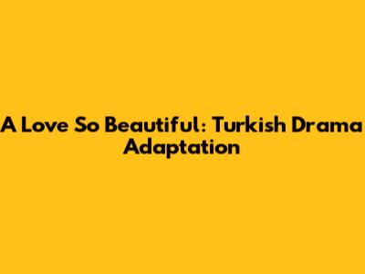 A Love So Beautiful: Turkish Drama Adaptation