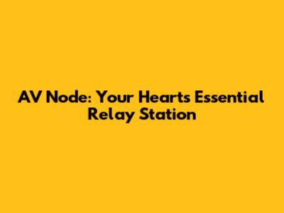 AV Node: Your Heart's Essential Relay Station