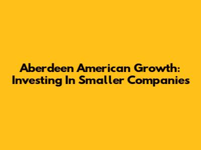Aberdeen American Growth: Investing In Smaller Companies