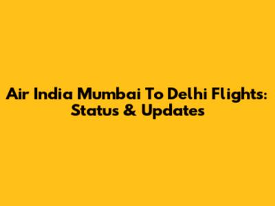Air India Mumbai To Delhi Flights: Status & Updates