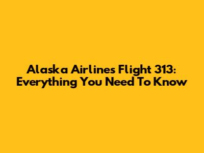 Alaska Airlines Flight 313: Everything You Need To Know