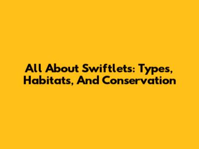 All About Swiftlets: Types, Habitats, And Conservation