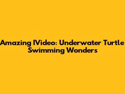 Amazing IVideo: Underwater Turtle Swimming Wonders