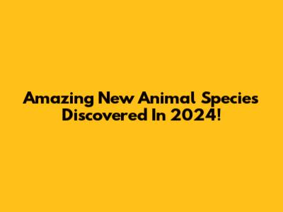 Amazing New Animal Species Discovered In 2024!