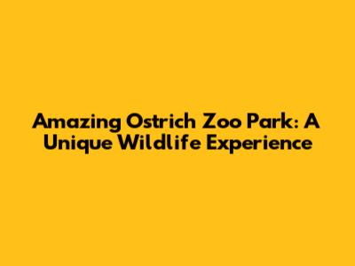 Amazing Ostrich Zoo Park: A Unique Wildlife Experience