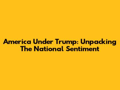 America Under Trump: Unpacking The National Sentiment