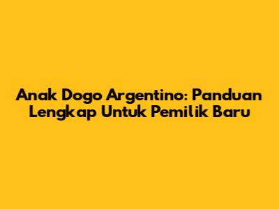 Anak Dogo Argentino: Panduan Lengkap Untuk Pemilik Baru