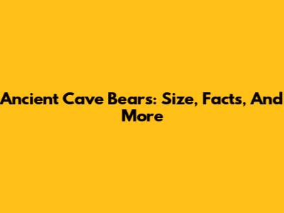 Ancient Cave Bears: Size, Facts, And More