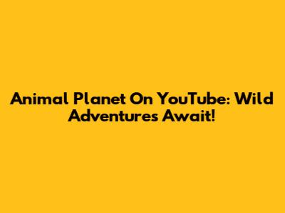 Animal Planet On YouTube: Wild Adventures Await!