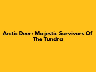 Arctic Deer: Majestic Survivors Of The Tundra