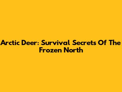 Arctic Deer: Survival Secrets Of The Frozen North