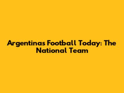 Argentina's Football Today: The National Team