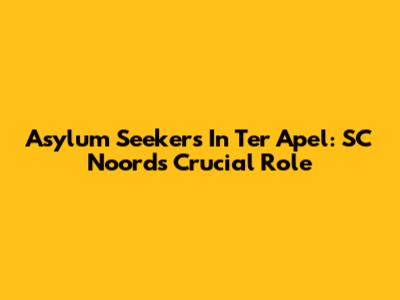 Asylum Seekers In Ter Apel: SC Noord's Crucial Role