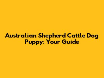 Australian Shepherd Cattle Dog Puppy: Your Guide