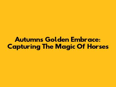 Autumn's Golden Embrace: Capturing The Magic Of Horses