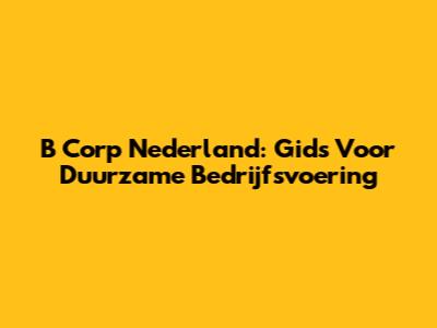 B Corp Nederland: Gids Voor Duurzame Bedrijfsvoering