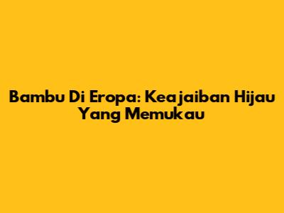 Bambu Di Eropa: Keajaiban Hijau Yang Memukau