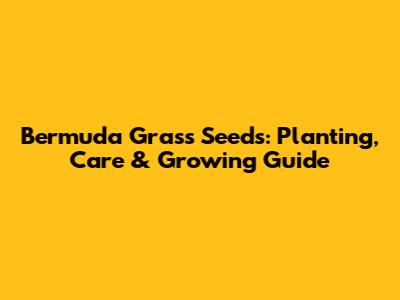 Bermuda Grass Seeds: Planting, Care & Growing Guide