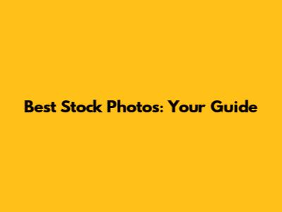 Best Stock Photos: Your Guide