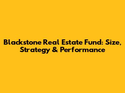 Blackstone Real Estate Fund: Size, Strategy & Performance