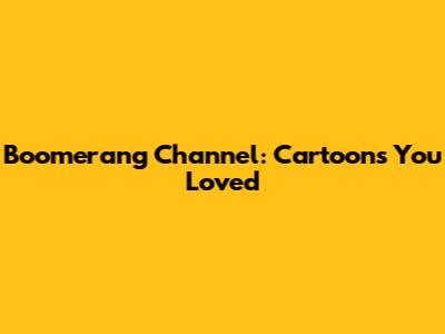 Boomerang Channel: Cartoons You Loved
