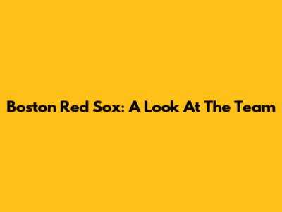 Boston Red Sox: A Look At The Team