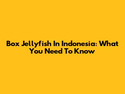 Box Jellyfish In Indonesia: What You Need To Know