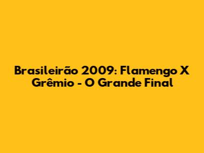 Brasileirão 2009: Flamengo X Grêmio - O Grande Final