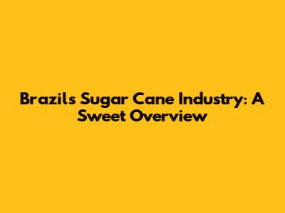 Brazil's Sugar Cane Industry: A Sweet Overview