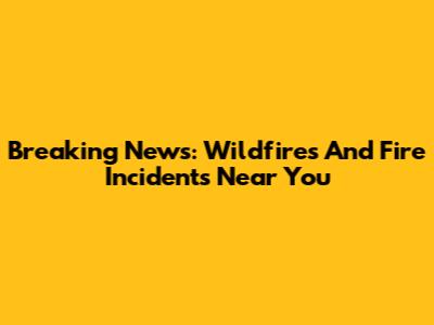 Breaking News: Wildfires And Fire Incidents Near You