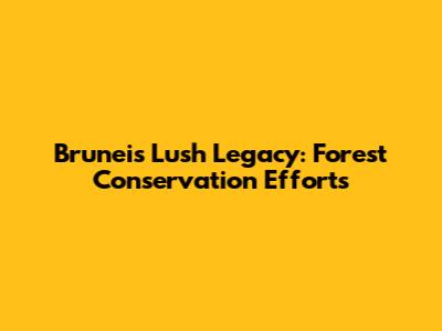 Brunei's Lush Legacy: Forest Conservation Efforts