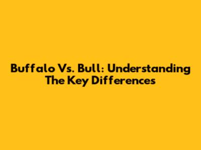Buffalo Vs. Bull: Understanding The Key Differences