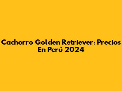 Cachorro Golden Retriever: Precios En Perú 2024