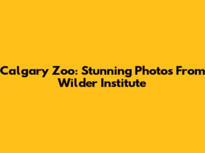 Calgary Zoo: Stunning Photos From Wilder Institute