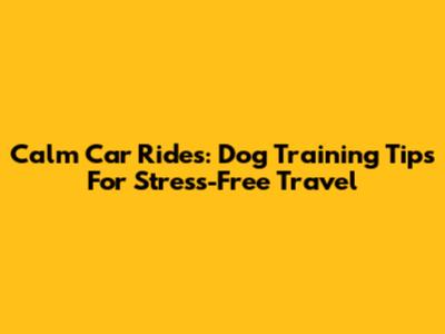 Calm Car Rides: Dog Training Tips For Stress-Free Travel