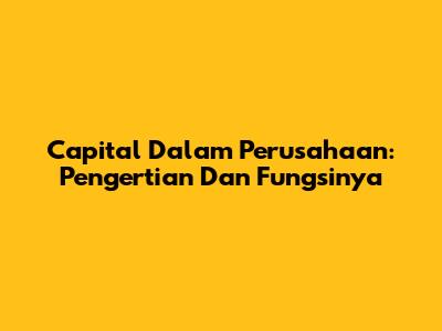 Capital Dalam Perusahaan: Pengertian Dan Fungsinya