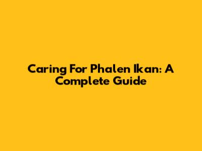 Caring For Phalen Ikan: A Complete Guide