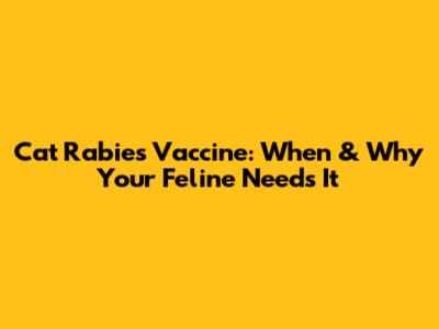 Cat Rabies Vaccine: When & Why Your Feline Needs It