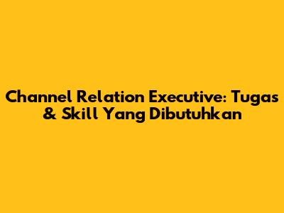 Channel Relation Executive: Tugas & Skill Yang Dibutuhkan