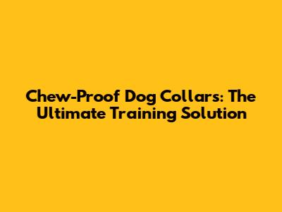 Chew-Proof Dog Collars: The Ultimate Training Solution