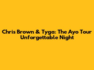 Chris Brown & Tyga: The Ayo Tour Unforgettable Night