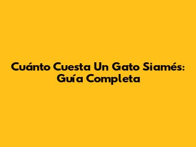 Cuánto Cuesta Un Gato Siamés: Guía Completa