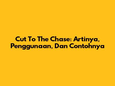Cut To The Chase: Artinya, Penggunaan, Dan Contohnya