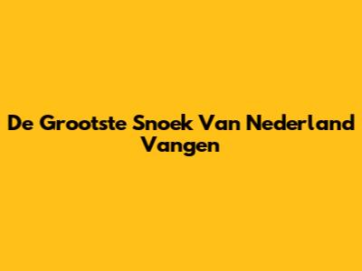 De Grootste Snoek Van Nederland Vangen