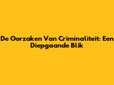 De Oorzaken Van Criminaliteit: Een Diepgaande Blik