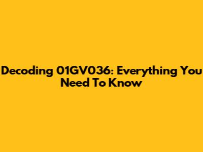 Decoding 01GV036: Everything You Need To Know