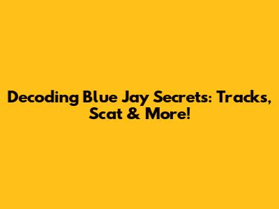 Decoding Blue Jay Secrets: Tracks, Scat & More!