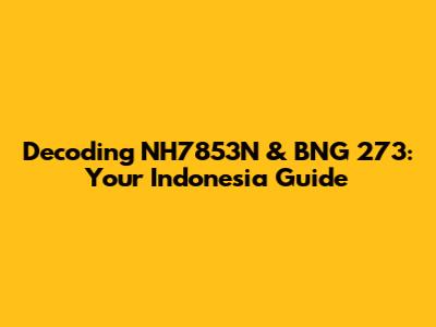 Decoding NH7853N & BNG 273: Your Indonesia Guide