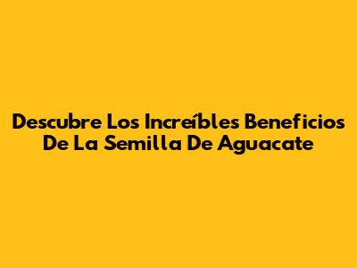 Descubre Los Increíbles Beneficios De La Semilla De Aguacate
